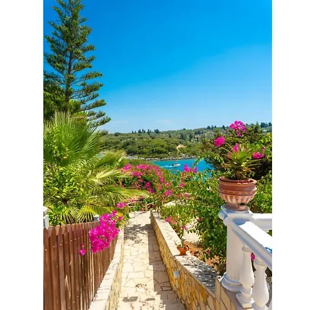Dolphin House Porto Ozias