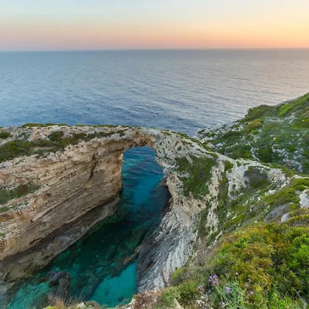 Dolphin House Porto Ozias